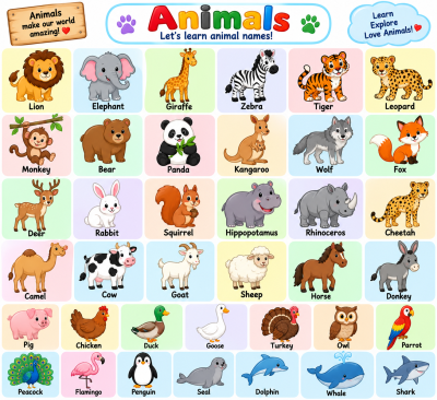 English for kids